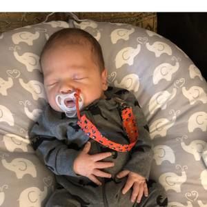 Meet your Posher, Royce